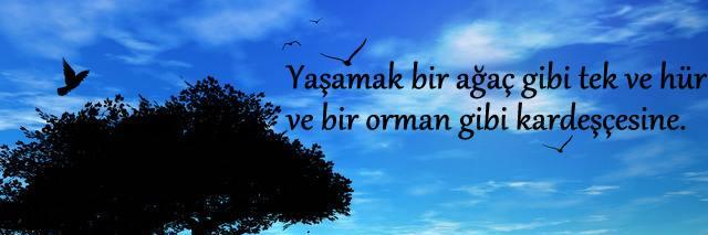 kayhan125's profile banner image