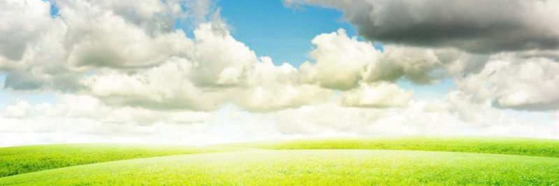 Tam banner