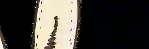 PtitsMets94's profile banner image