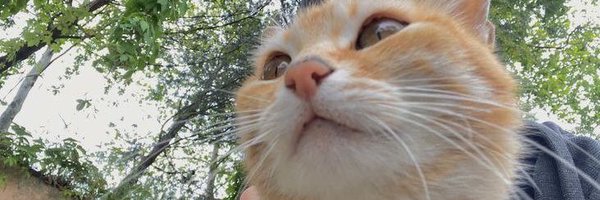 erraxie Profile Banner