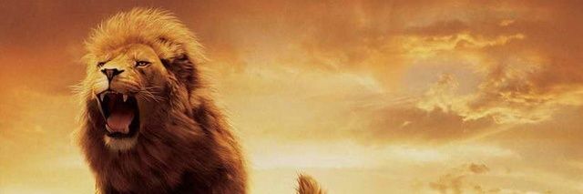 BajpayeeK's profile banner image