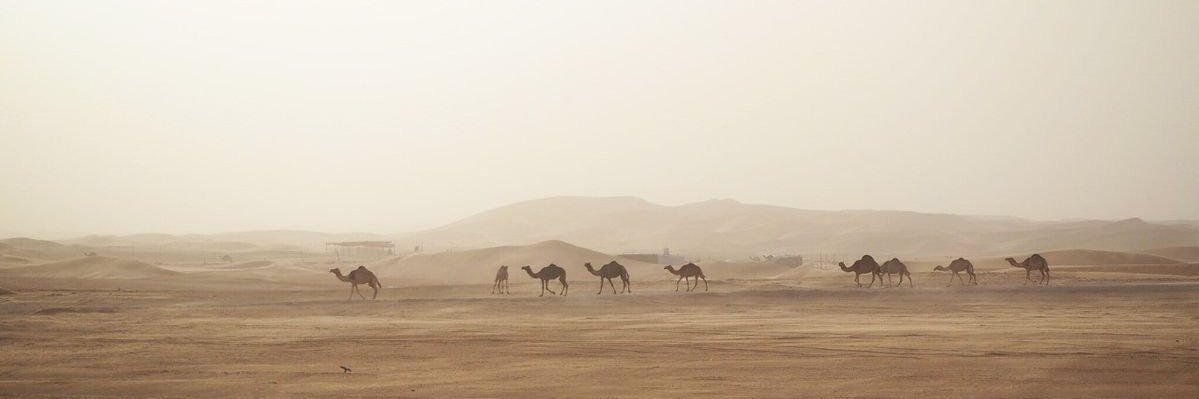 طَارِقْ banner