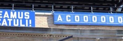 Jon DePaolis banner