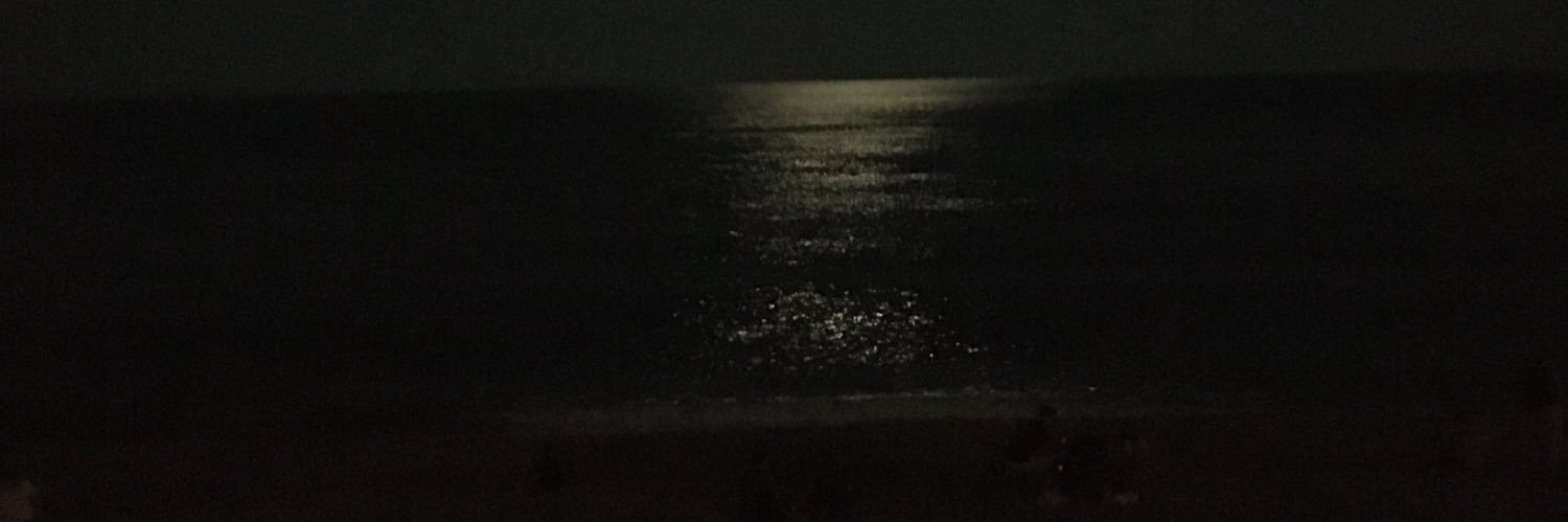 mhmteminok's profile banner image