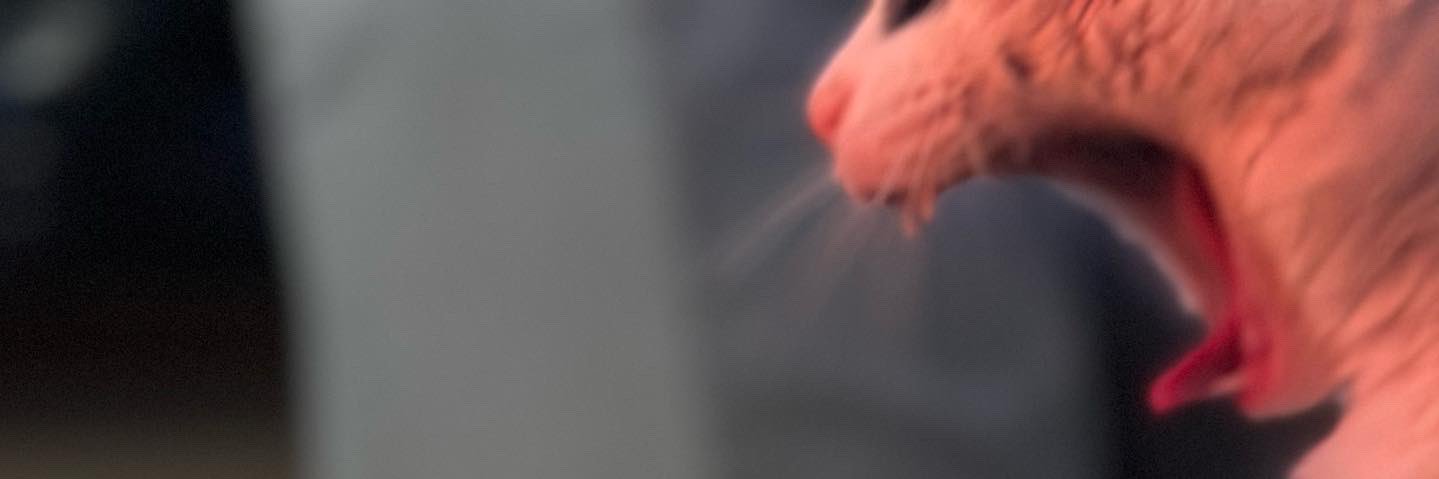 charmander 🌈 ♥️ banner