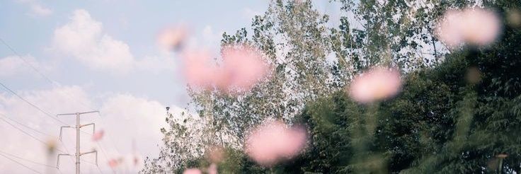 pyuu𝜗ৎ 🧸ྀི banner