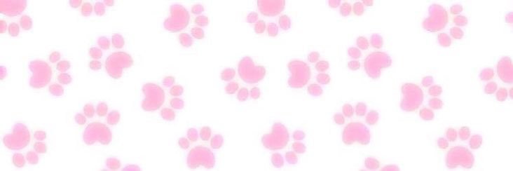 ickycamstar's profile banner image