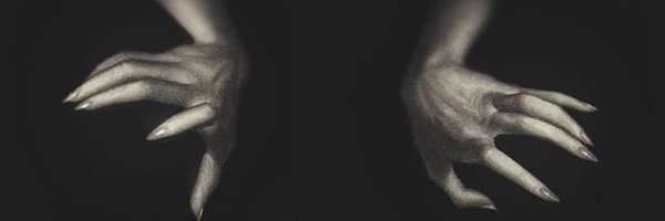 lions_moonstone Profile Banner