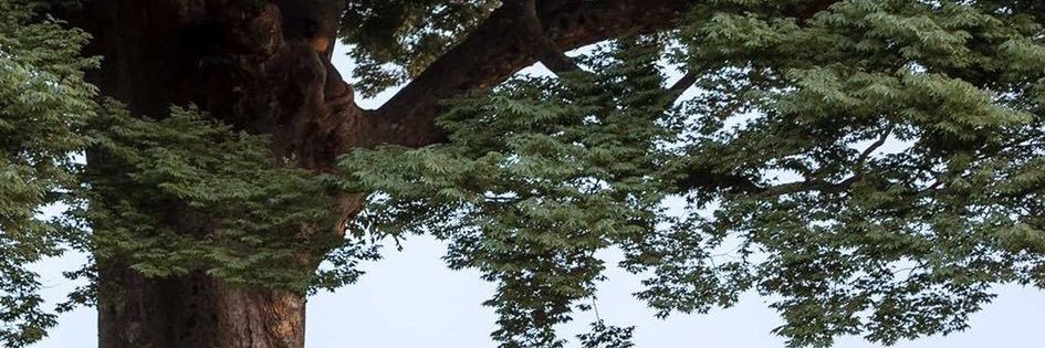 d57_u's profile banner image