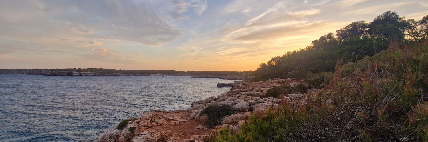 Ⓢⓣⓔⓥⓔ banner