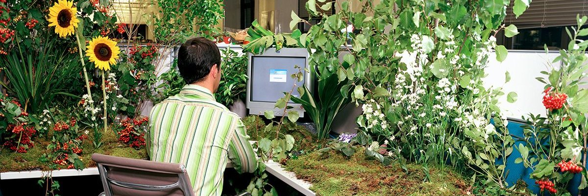 𝗣(𝗮𝗿𝘁)𝗵 banner