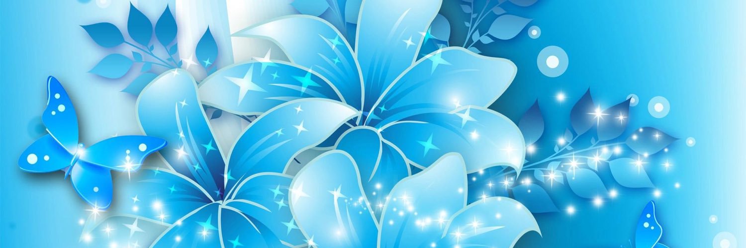 Bella banner