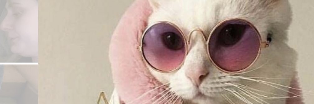 DaddySpiderLeg's profile banner image