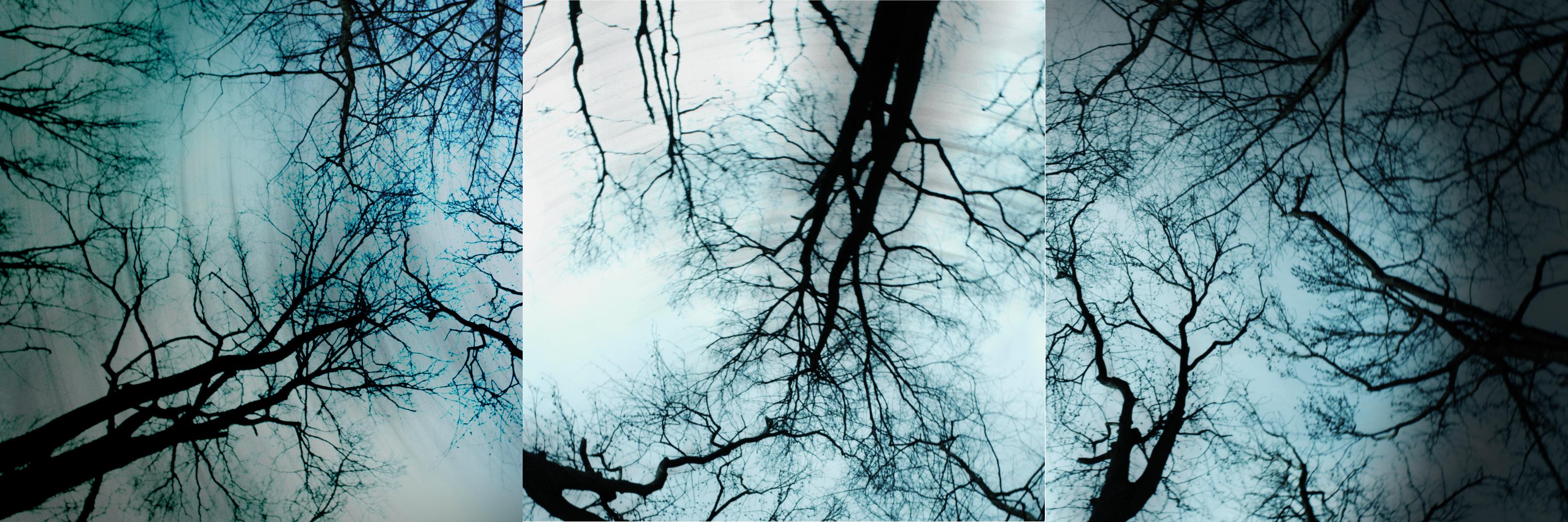 Mark DeChiazza banner