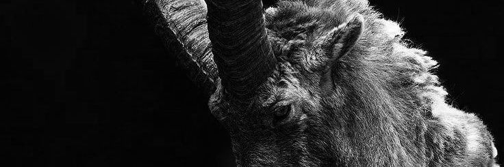 madram_x's profile banner image