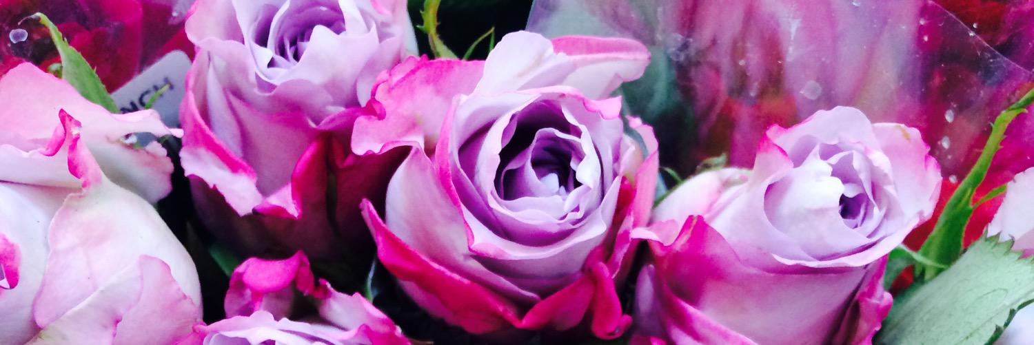 KrystalNMorris's profile banner image