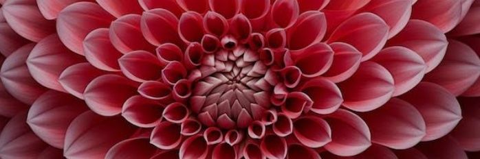 Naturalove 💚🌙 banner