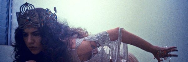 babidipet2 Profile Banner