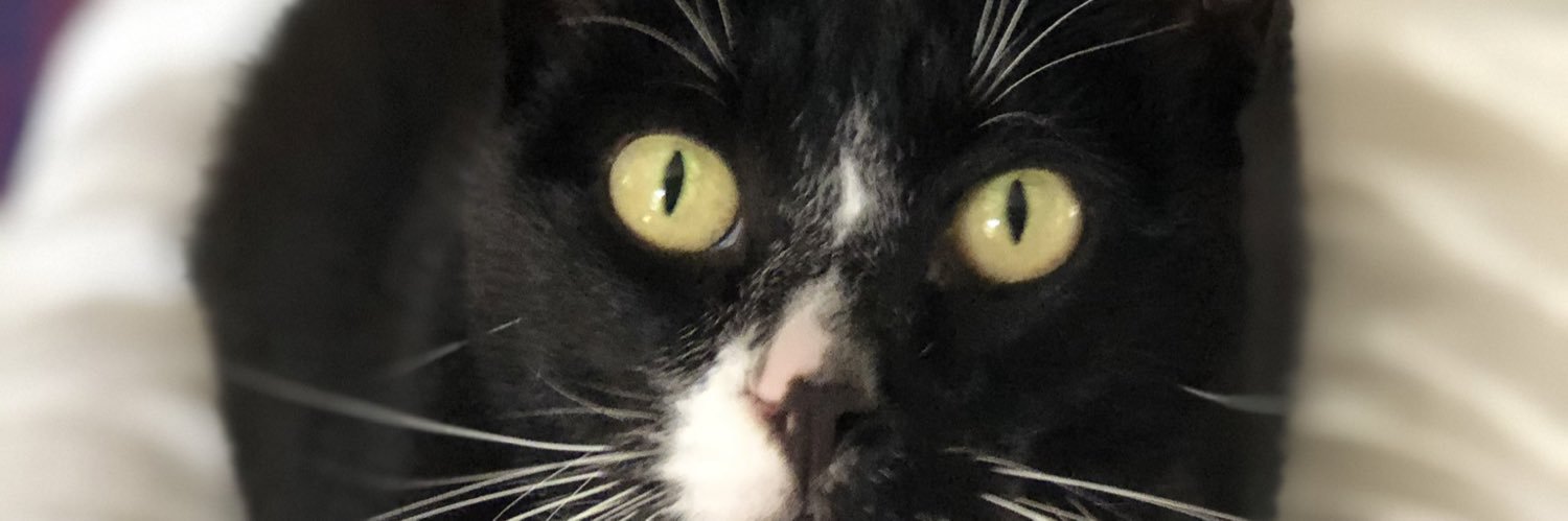Jillbus's profile banner image