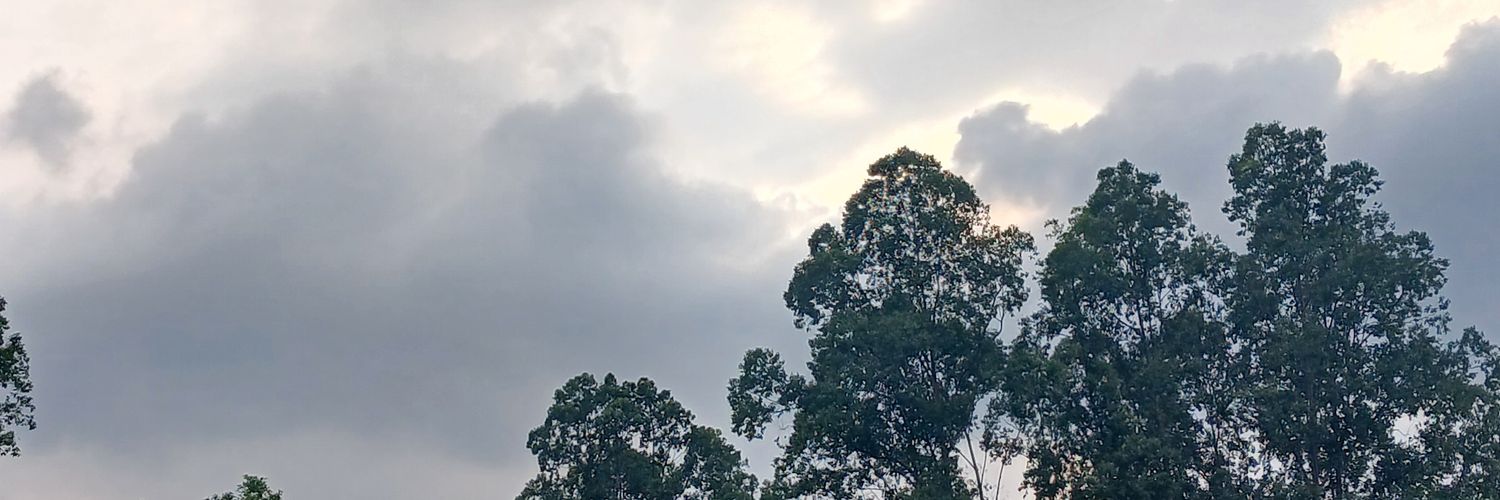 dun banner