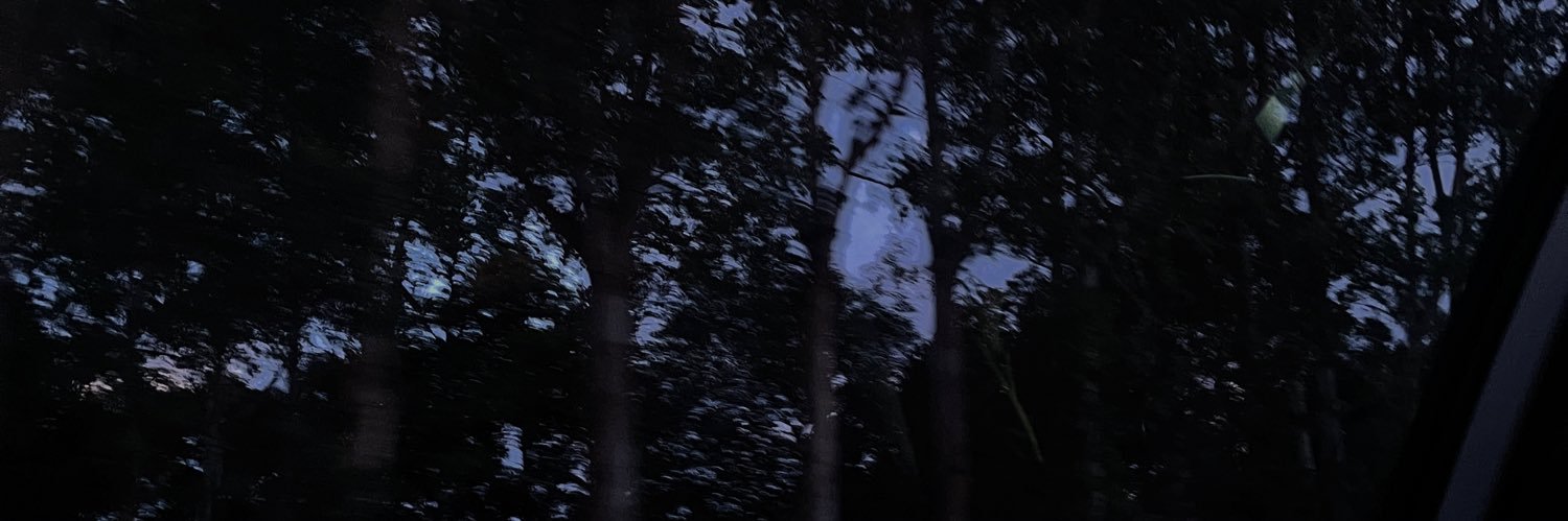 pdroarjc's profile banner image