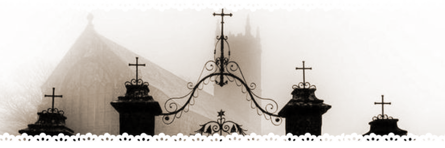 n0calori's profile banner image