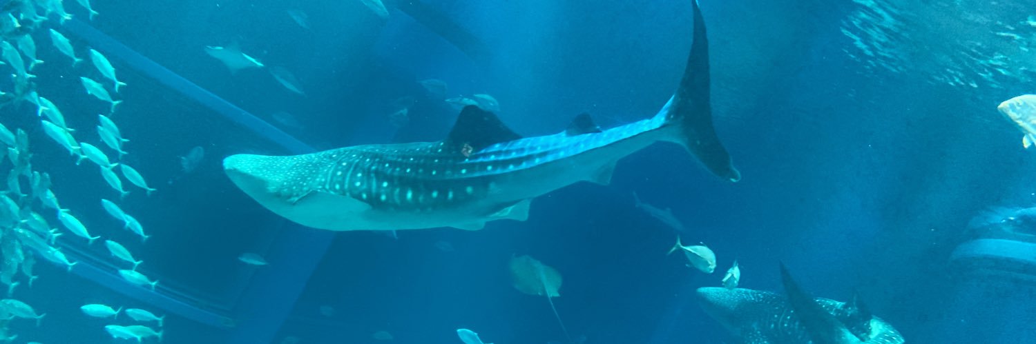 Daa2239's profile banner image