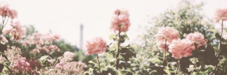 Mzazeski's profile banner image