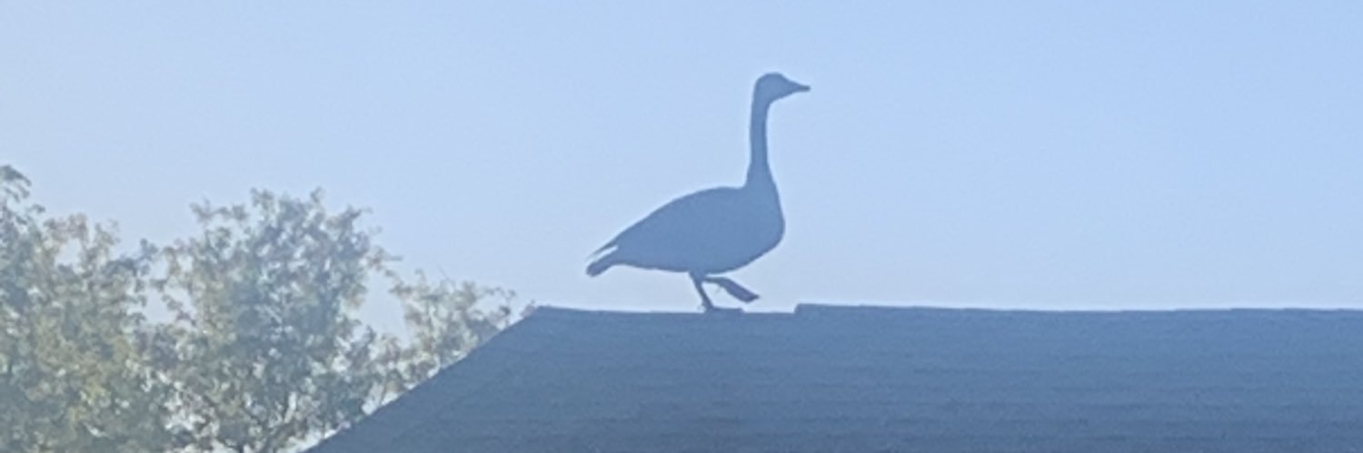 Radioactive AJ banner