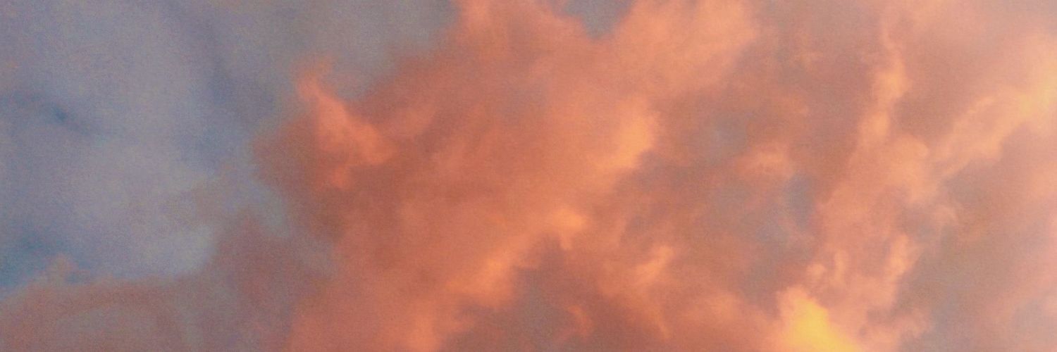(⁠◍⁠•⁠ᴗ⁠•⁠◍⁠)⁠✧⁠*⁠。 banner