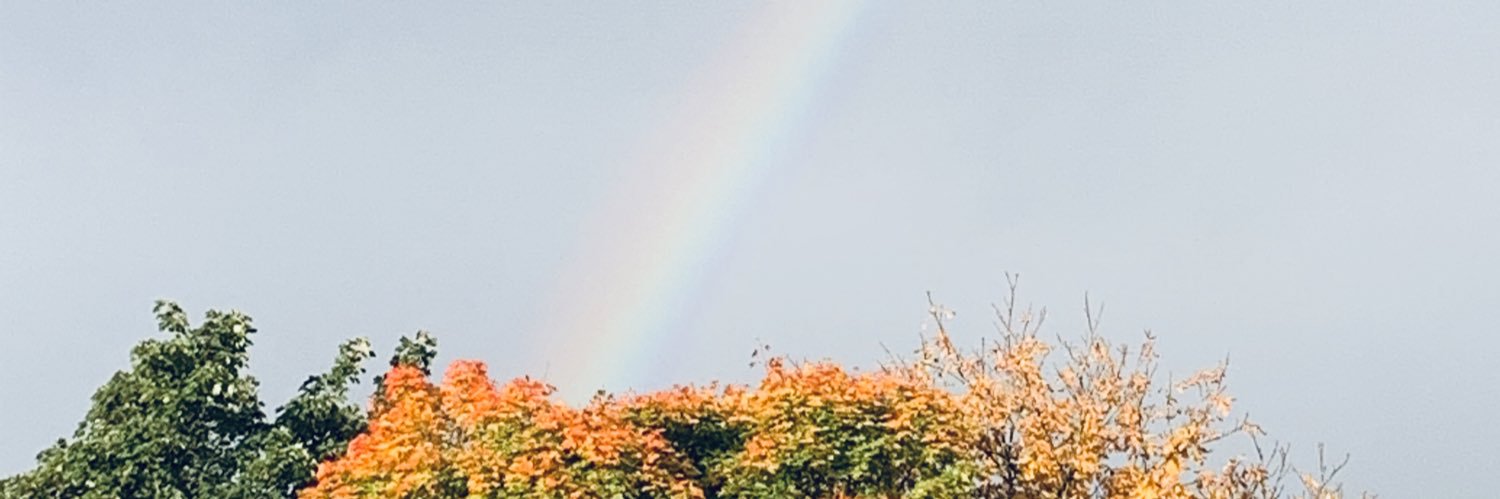 Shona Ballentyne banner