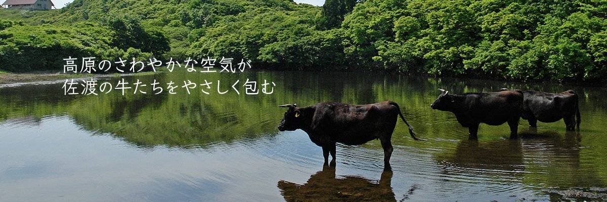 htabu's profile banner image