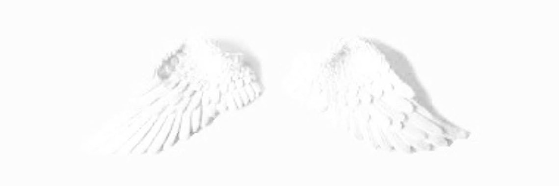 kyoanns's profile banner image
