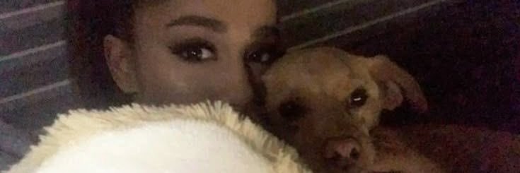 𝐑𝐨𝐬𝐞 is seeing olivia ꕤ ⁴ banner