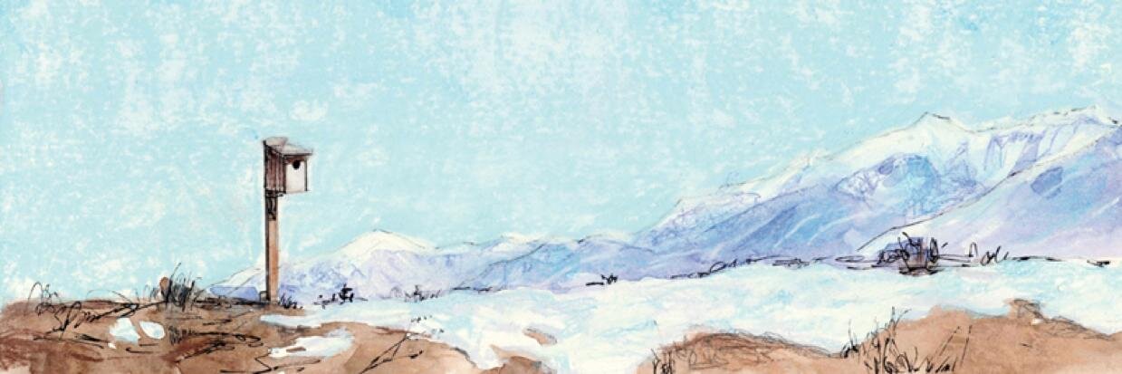 marytebbs's profile banner image
