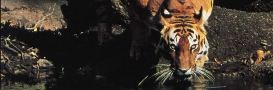 Kevin Jackson || “K2” banner