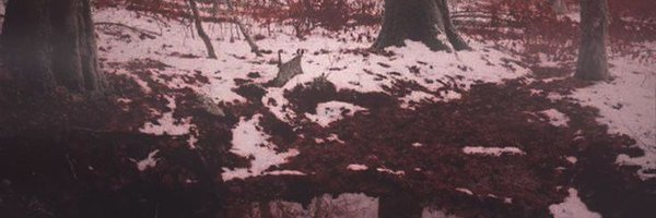 Sonder_exe Profile Banner