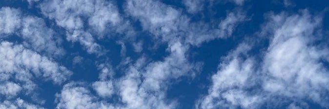 𐘃. Ann banner