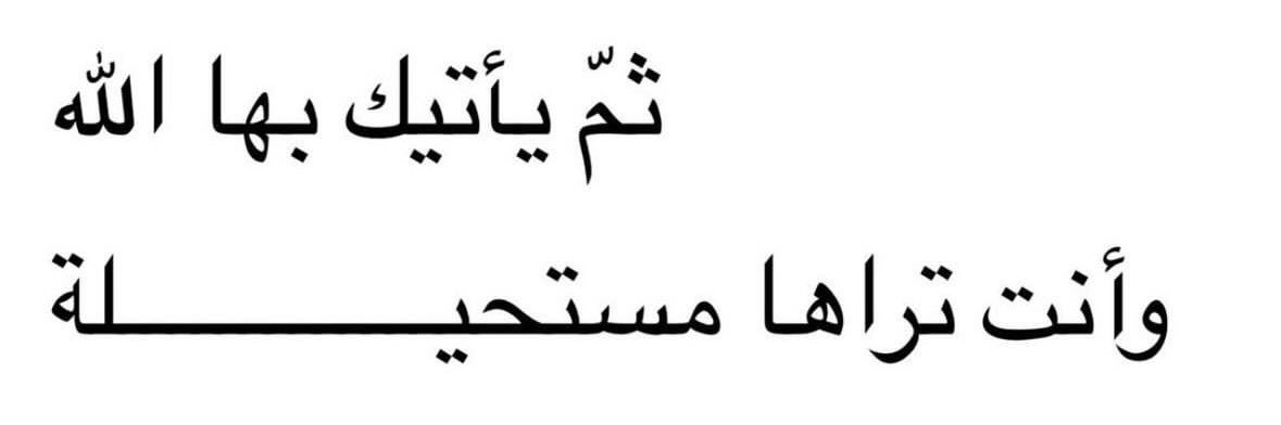 ZAYED |بطل الامم🇵🇹 banner