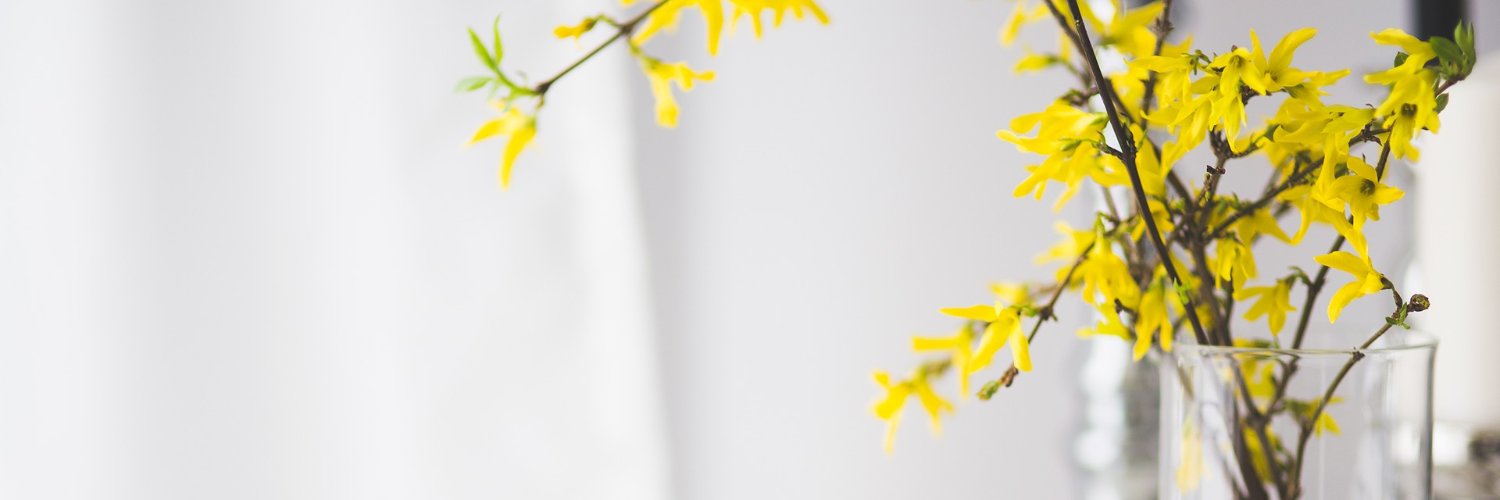 StefanFessler's profile banner image