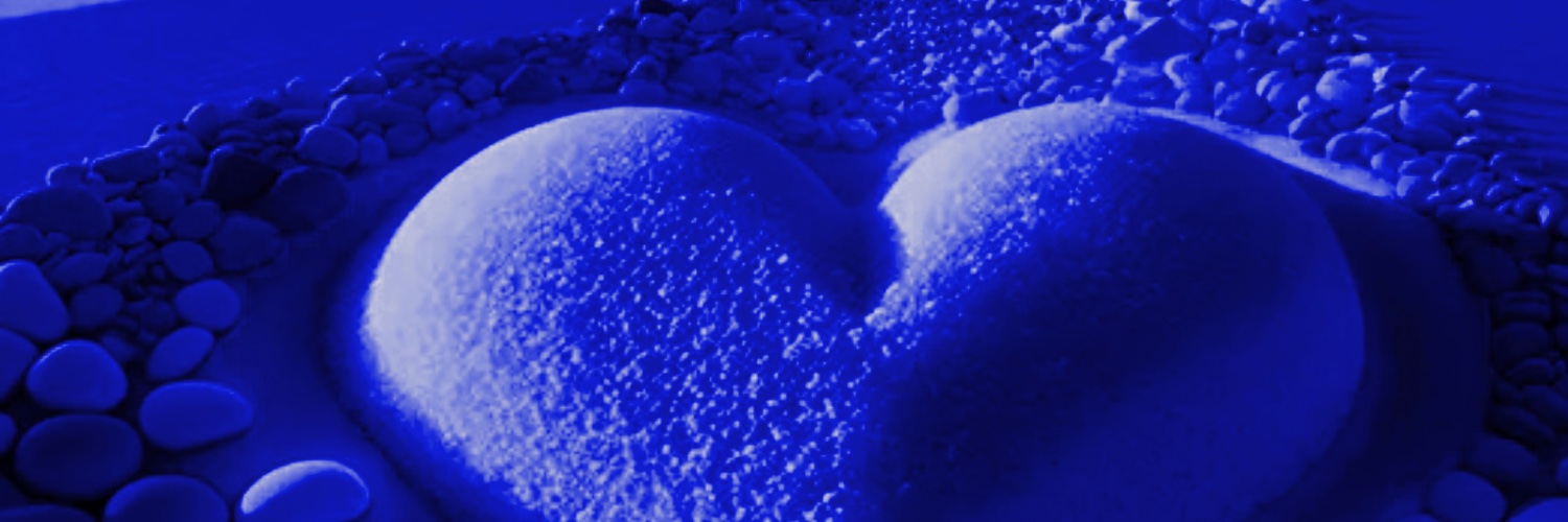 Miss Fortunate banner