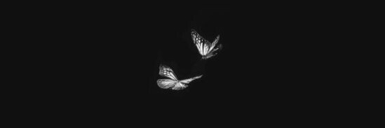 adaletakkyn's profile banner image