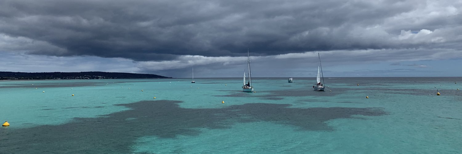 At least my dog loves me ❤️🐕👩🏻‍🦰 banner