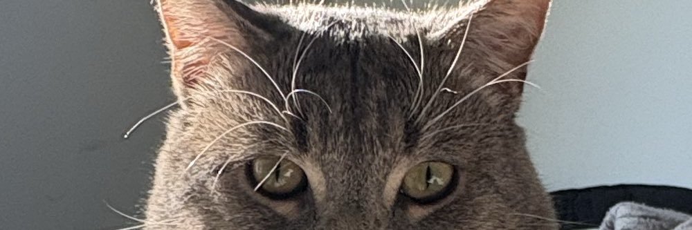 rocis333's profile banner image