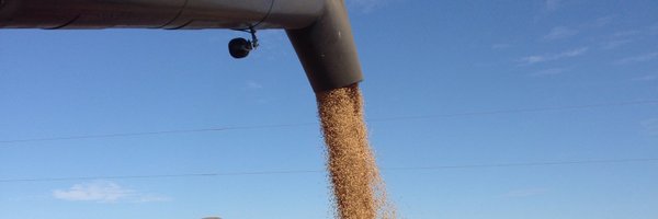 mattdirka Profile Banner