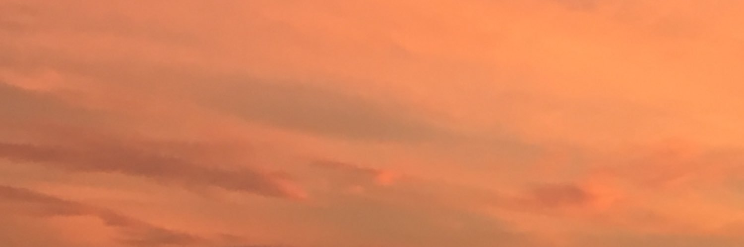 rikku0rt's profile banner image