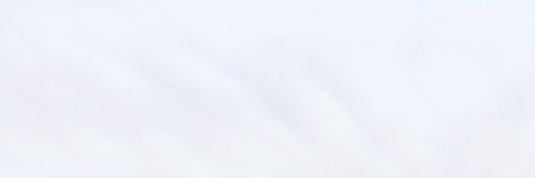 ayca banner