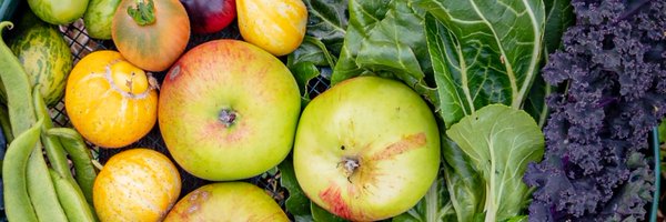 youngground Profile Banner