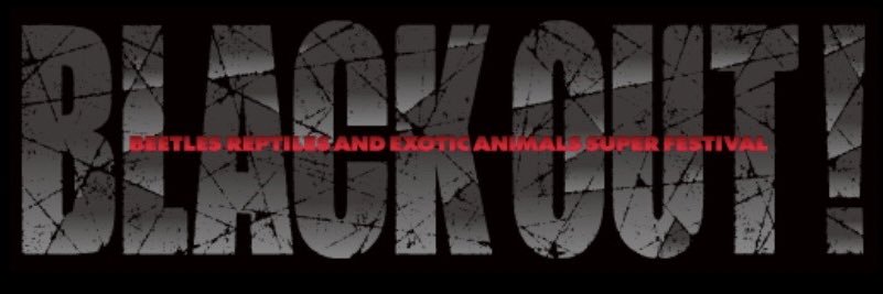 BLACKOUT!'s banner