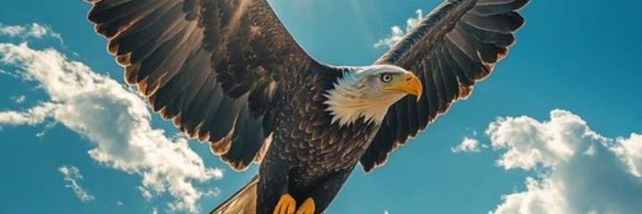 gunwar99's profile banner image